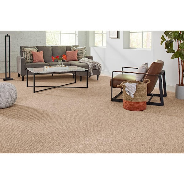 Finton  - Haven - Beige 24 oz. SD Polyester Loop Installed Carpet