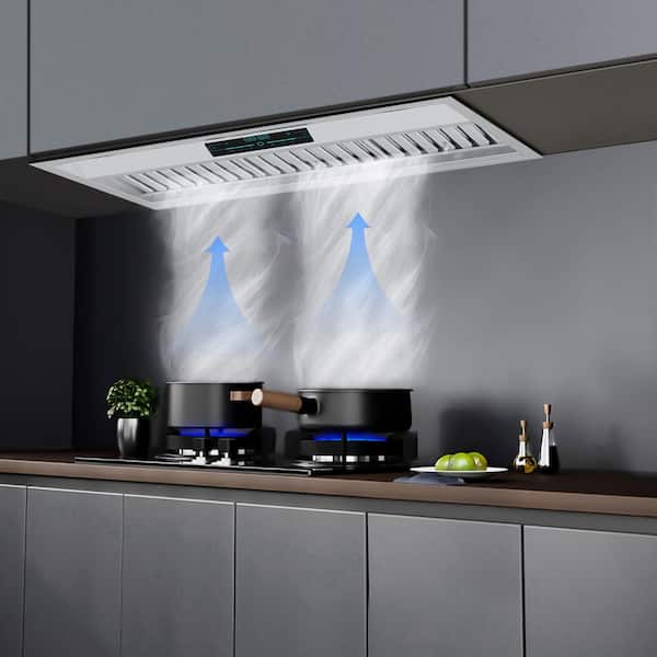 Tylza 30 Insert Range Hood 900 CFM Convertible 4 Speeds with Charcoal  Filter in Stainless Steel & Reviews