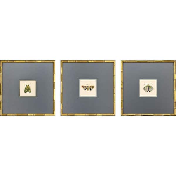 Pastel Moths by Zaman 3 Piece Framed Animal Art Print 17 in. x 17 in.