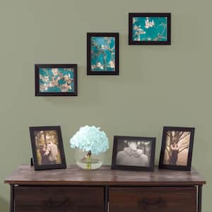 5 in. x 7 in. Black Picture Frame (6-Pack)