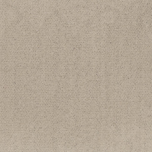 Poppy Color Adobe Beige 42 oz. SD Polyester Pattern Installed Carpet