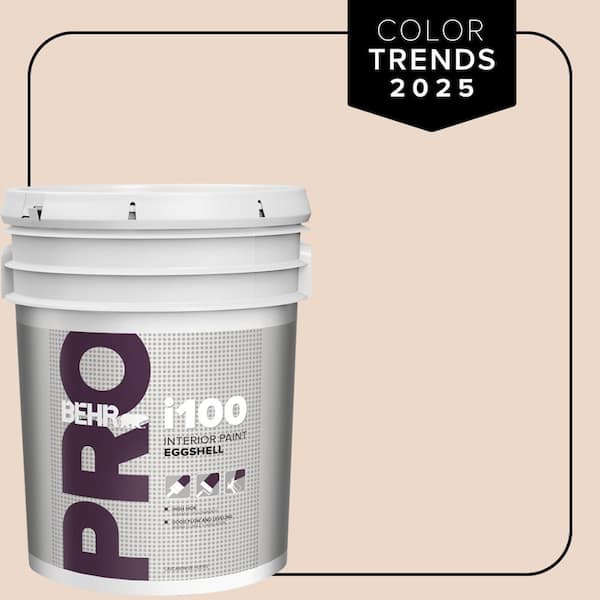 5 gal. #S210-1 Nutmeg Frost Eggshell Interior Paint