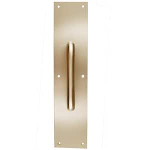 4 in. x 16 in. Solid Brass Pull Plate with Round Pulls