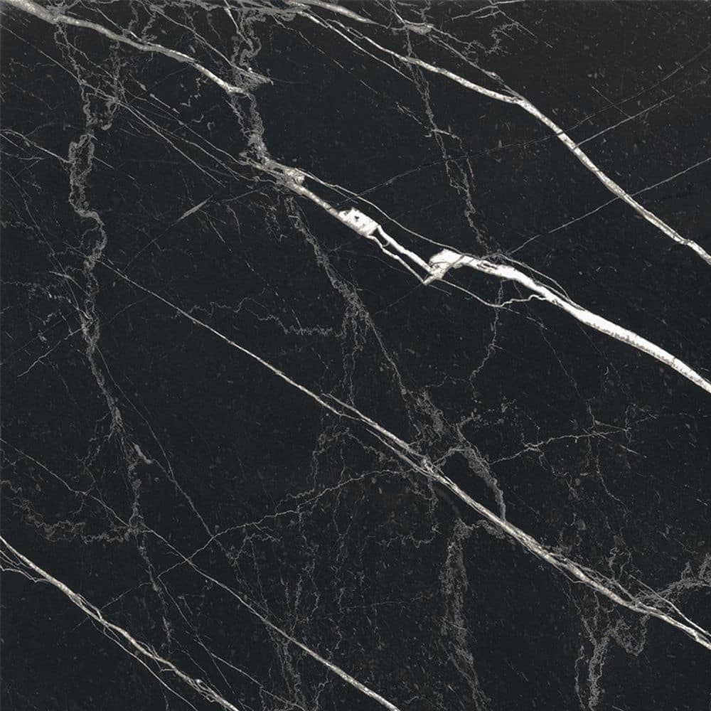 Regalia 24x24 in. Nero Black Matte Color Body Porcelain Marble-look Vein Large Tile (15.5 sq ft/case, 4-Pack) price history on PriceWatchPro