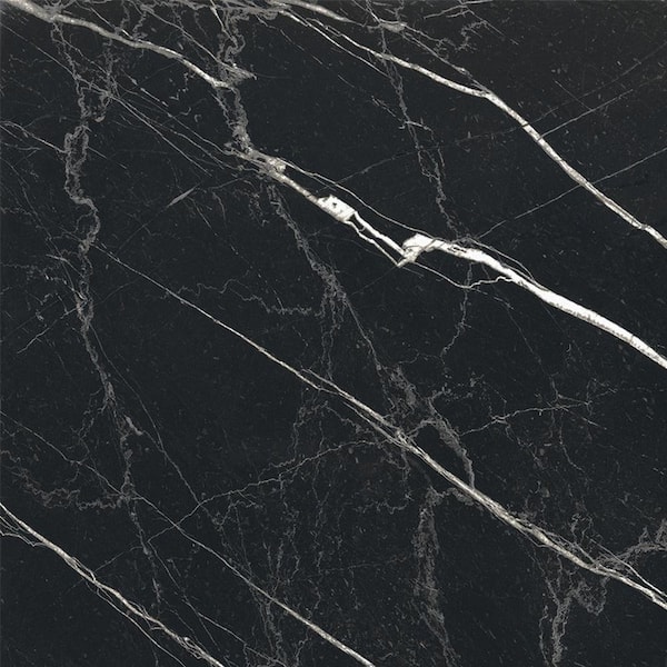 Regalia 24x24 in. Nero Black Matte Color Body Porcelain Marble-look Vein Large Tile (15.5 sq ft/case, 4-Pack)