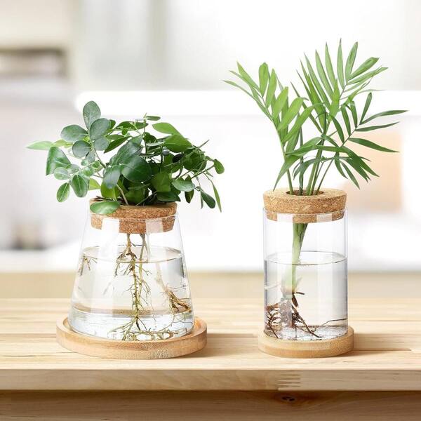 Unbrand 4 Pack Stylish Glass Propagation Vases, Hydroponic Plant Planters  with Bamboo Stand for Indoor Decor ENHD20682