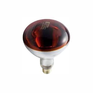 250-Watt R40 Incandescent Heat Lamp Bulb - Red (4-Pack)