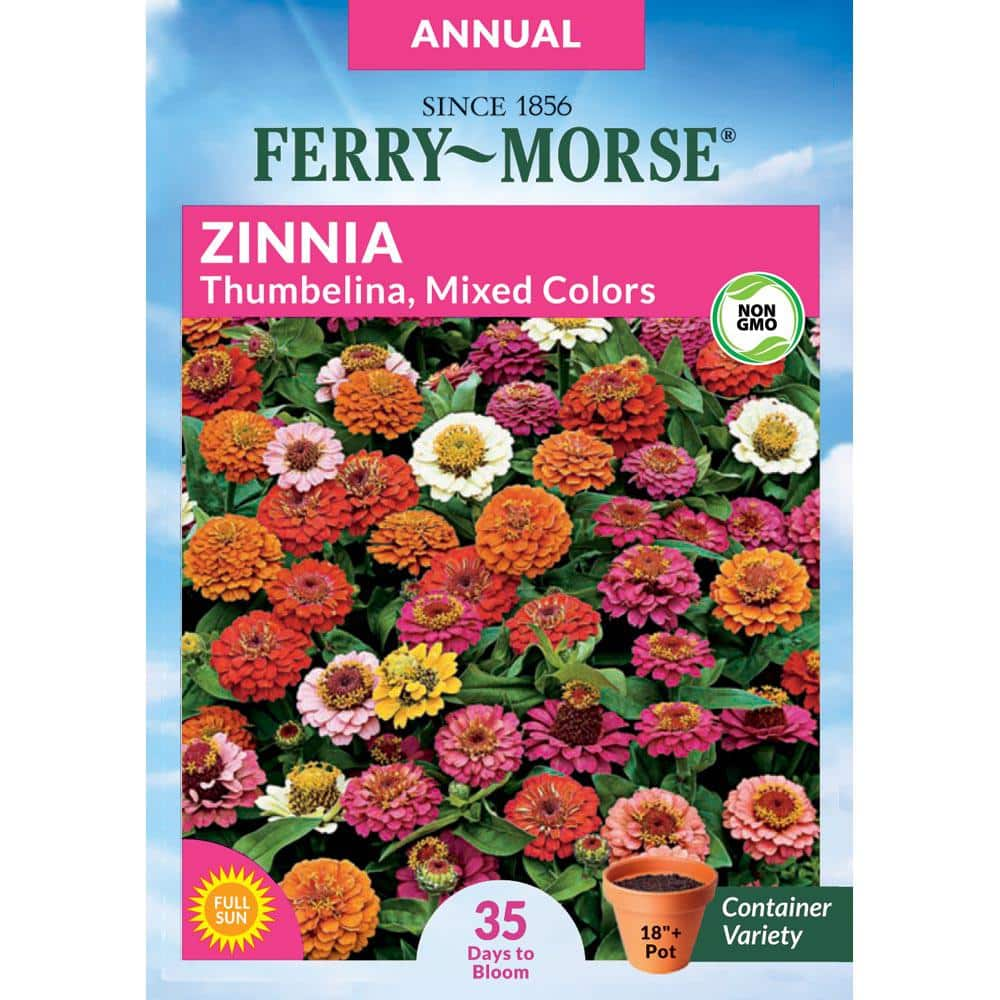 Ferry-Morse Zinnia Thumbelina Mixed Colors Flower Seed 0051 - The Home ...