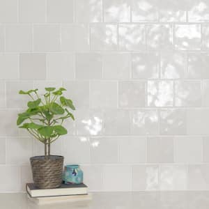 Lakeview Dove 5 in. x 5 in. Glossy Ceramic Wall Tile (10.2 sq. ft./Case)