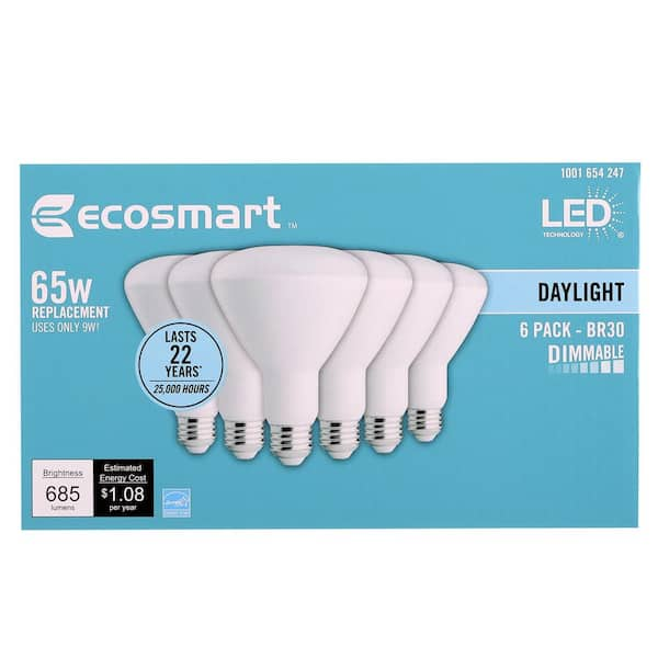 ecosmart 1003024802