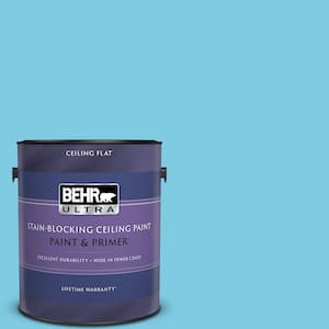 1 gal. #P490-3 Big Chill Ceiling Flat Interior Paint and Primer