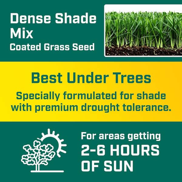 3 lbs. Shady Lawn Grass Seed Mix