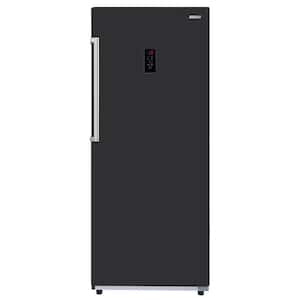 28 in. 14 cu. ft. 110V Frost Free Upright Freezer Refrigerator Convertible E-Star Garage Ready in Black
