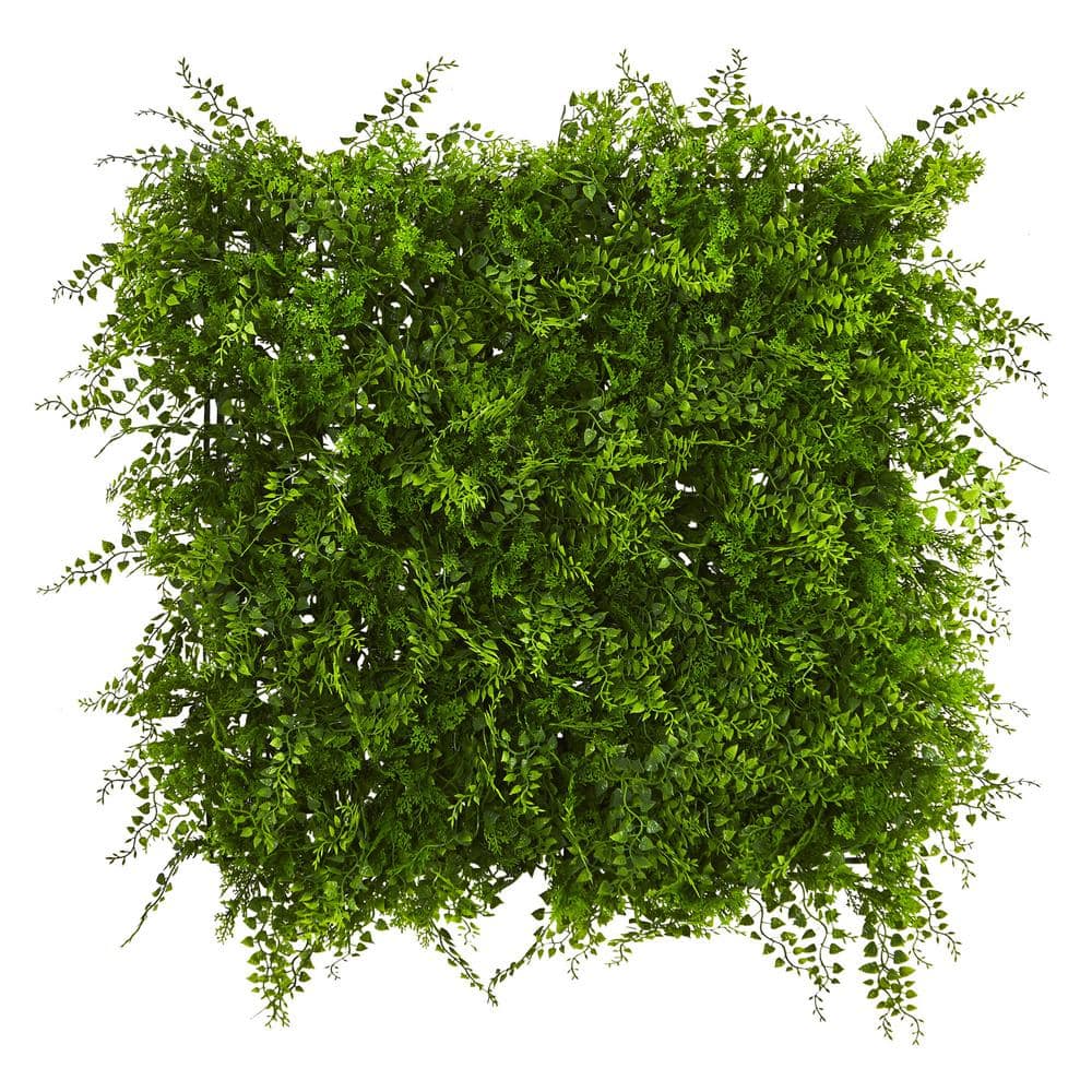 20 in. W x 20 in. H UV Resistant Mediterranean Fern Artificial Living Wall Privacy Hedge Panel (Indoor/Outdoor) price history on PriceWatchPro