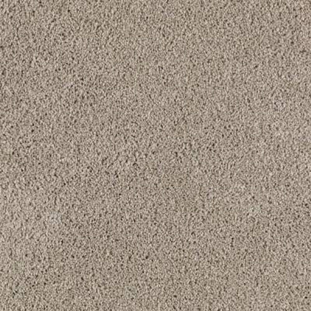 8 in. x 8 in. Texture Carpet Sample - Ambrosina II -Color Airway price history on PriceWatchPro