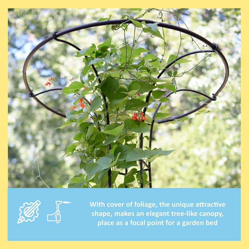 Roman Bronze 72-Inch Wrought Iron Trellis with Canopy