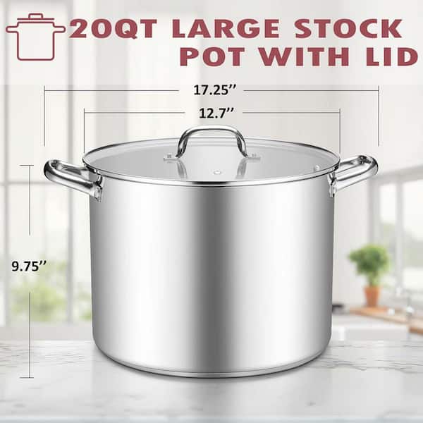20 qt. Stainless Steel Nonstick Stock Pot in Silver with Glass Lid