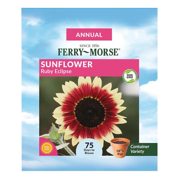 Ferry-Morse Sunflower Ruby Eclipse Flower Seed 1856 - The Home Depot