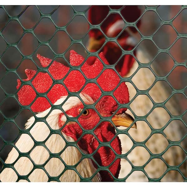3 ft Green x 25 ft Plastic Poultry Hex Garden Fence Netting