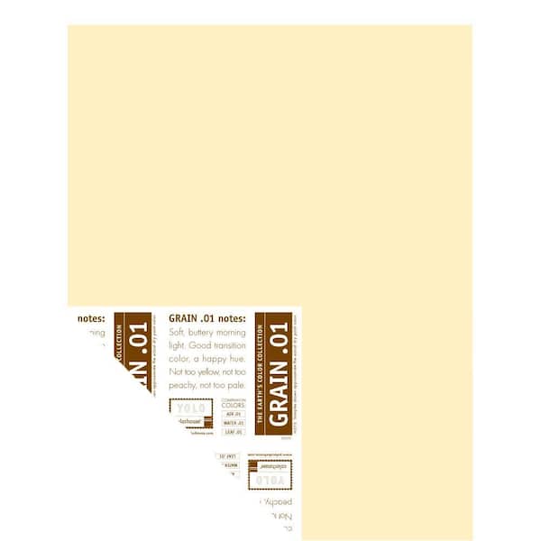 YOLO Colorhouse 12 in. x 16 in. Grain .01 Pre-Painted Big Chip Sample