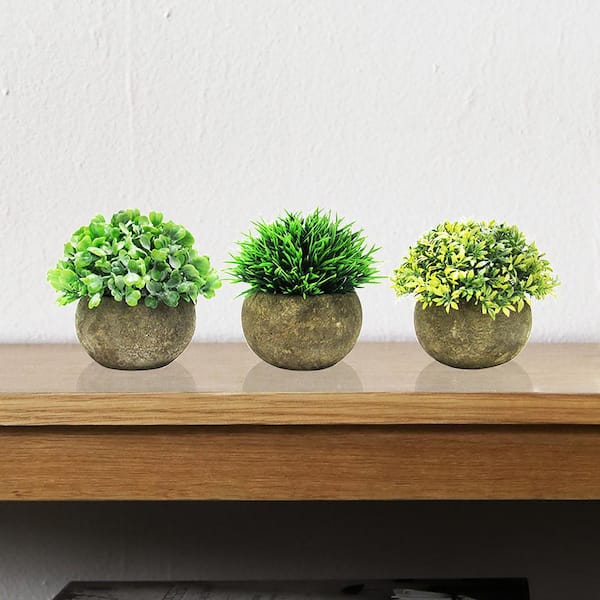 LIVING LUXURY 4.5 in. Frosted Green Artificial Boxwood Grass Leaf Succulent Mix Small Plant Topiary in Pot (Set of 3)