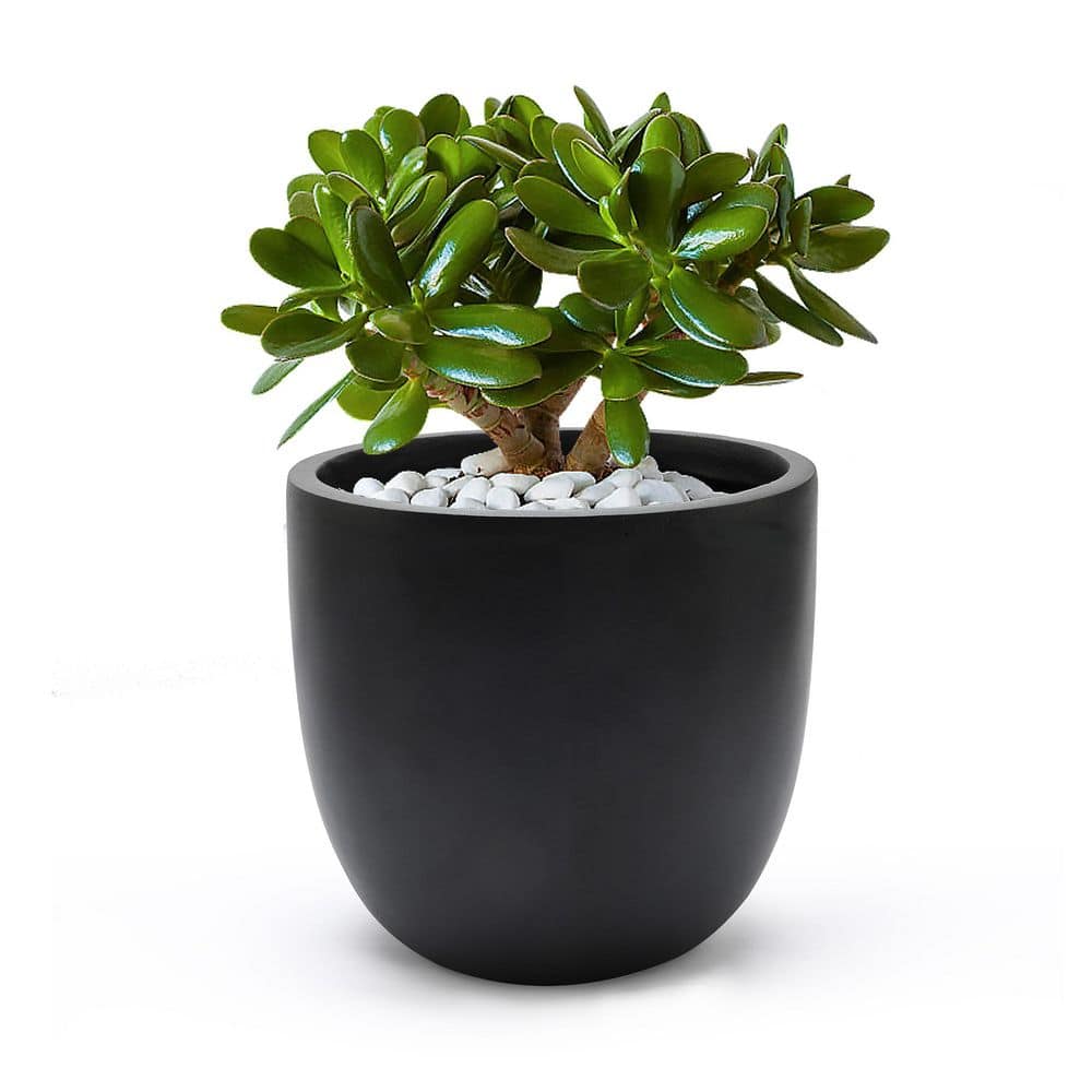 Black Round Magnesium Oxide Outdoor Planter