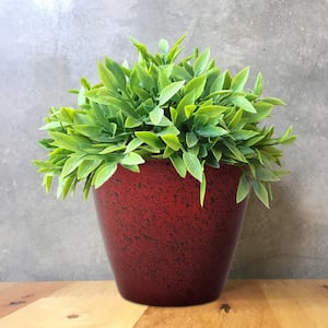Vogue 8 in. Lava Red Resin Planter