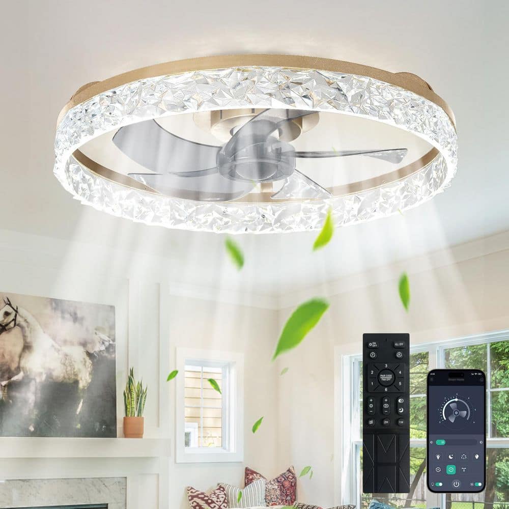 20 in. Gold Small Fan Flush Mount Low Profile Modern Ceiling Fan Light for Bedroom Indoor Included APP Remote DC Motor price history on PriceWatchPro