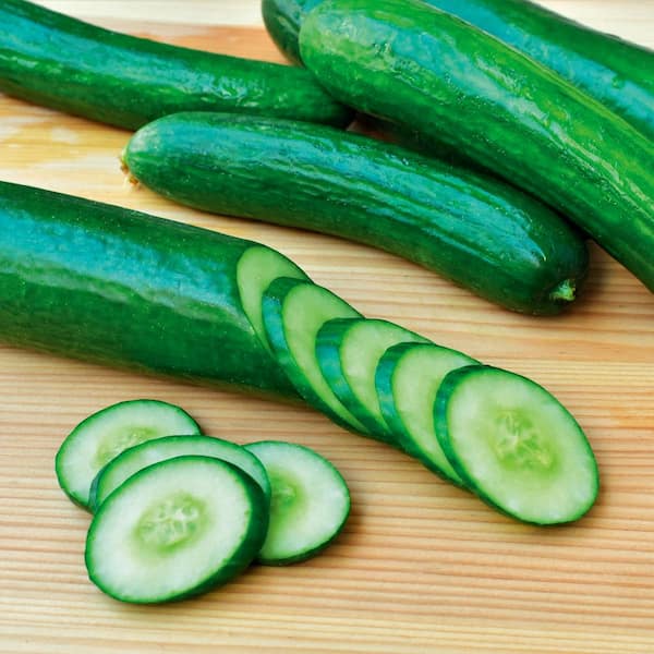 50 Muncher CUCUMBERS Seeds 