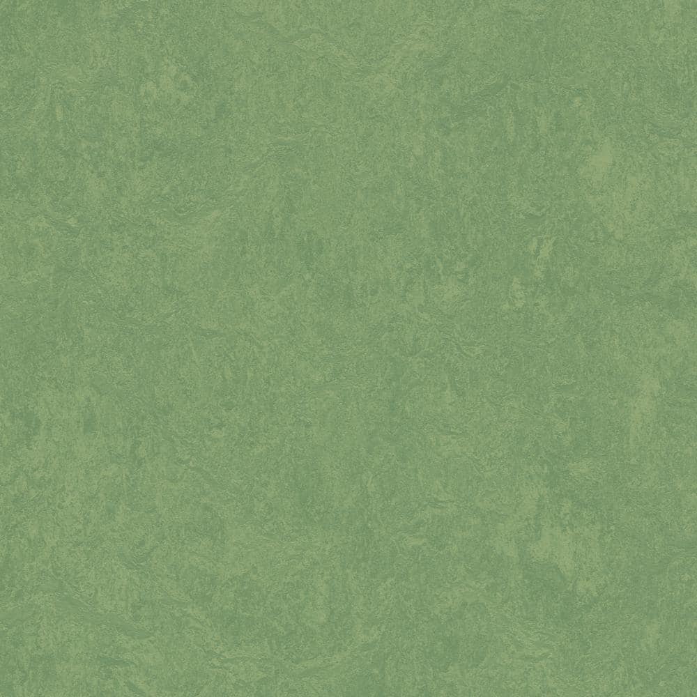 Cinch Loc Seal Leaf 9.8 mm T x 11.81 in. W x 35.43 in. L Laminate Flooring (20.34 sq. ft./case) price history on PriceWatchPro