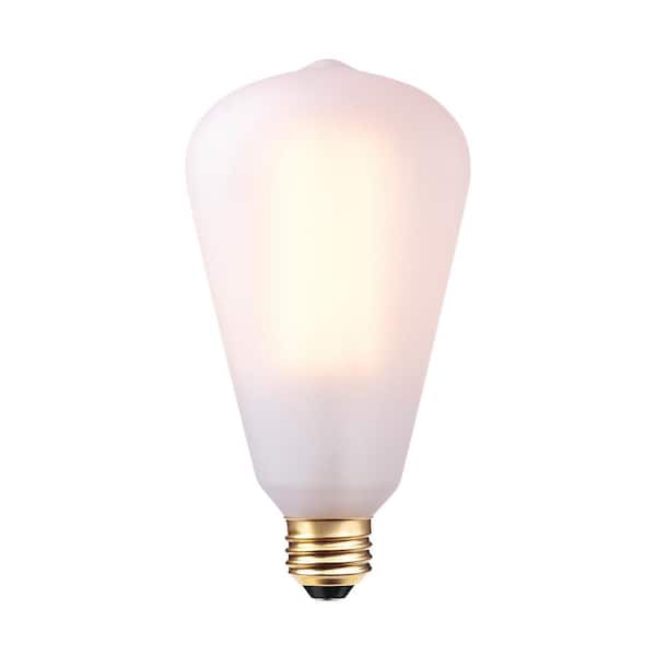 Globe Electric 60-Watt S-Type Vintage Edison Incandescent Light Bulb