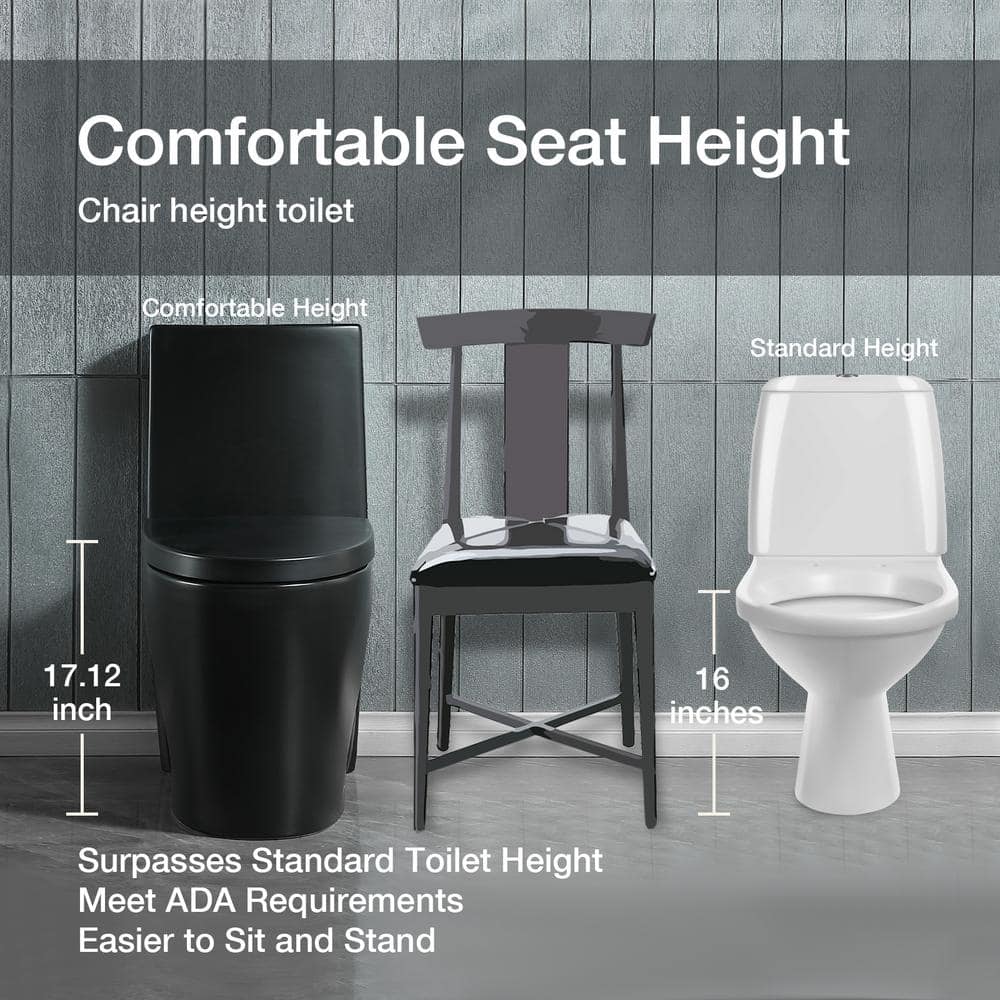 Matte Black Ceramic Dual Flush Elongated One-Piece Toilet