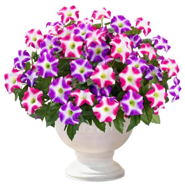 4 Bundles 15.7 in. Multi-Colored Indoor/Outdoor Artificial Petunia