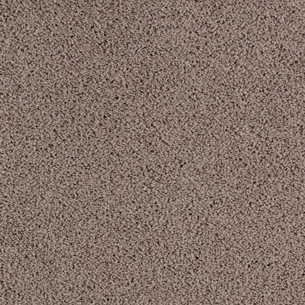 Lifeproof with Petproof Technology 8 in. x 8 in. Texture Carpet Sample - Cleoford -Color Rocky Ridge