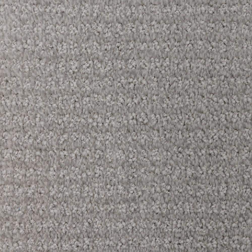 8 in. x  8 in. Pattern Carpet Sample - Tailgate Classic -Color Mustang price history on PriceWatchPro