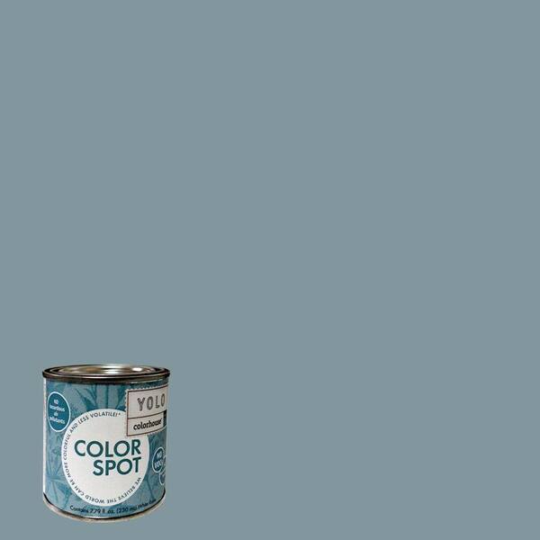 YOLO Colorhouse 8 oz. Water .05 ColorSpot Eggshell Interior Paint Sample-DISCONTINUED