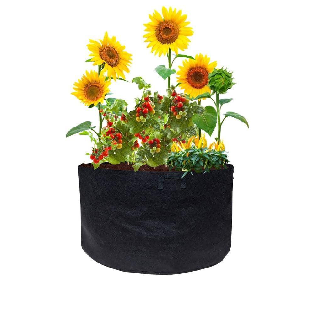 Dyiom Large 15 Gallon Grow Bag, Fabric Round Grow Bag for Growing Herbs Flowers and Vegetables (24 Deep x 8 High, Black)