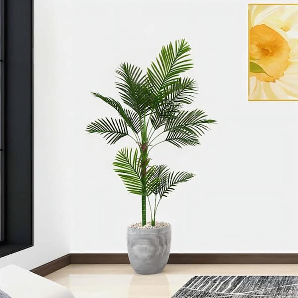 avocado plants for sale Avocado Tree 'Monroe' – Incredible Edible Landscapes main image 1