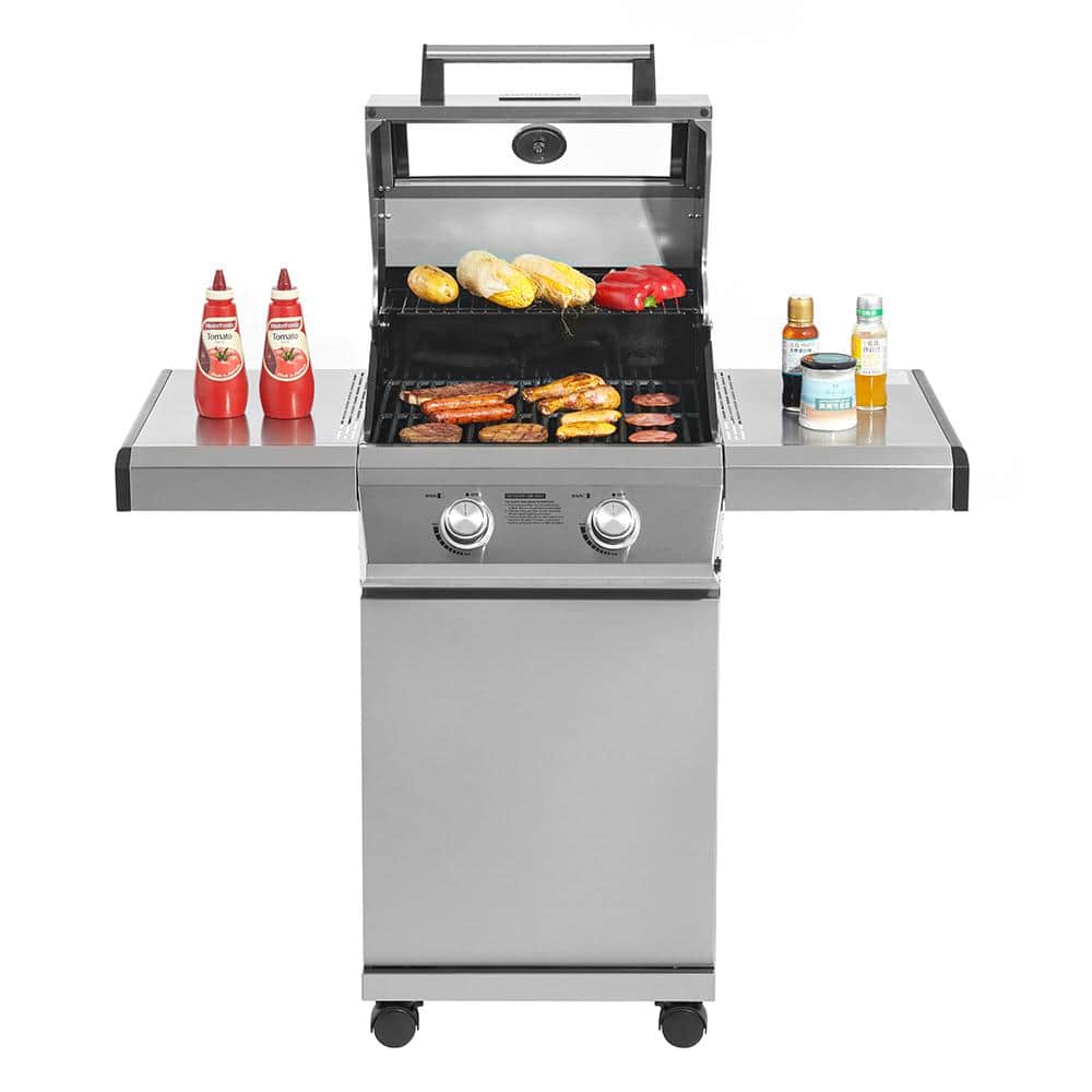 Monument 2-Burner Stainless Steel Propane Gas Grill with Clearview Lid