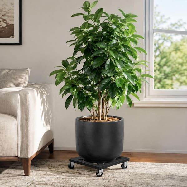 12 in. Black Metal Square Plant Caddy, Rolling Plant Dolly with