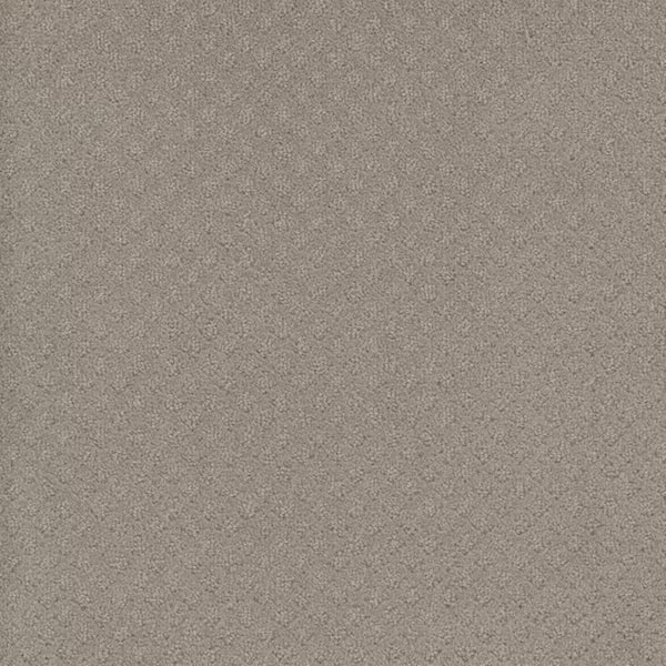 TrafficMaster 8 in. x 8 in. Pattern Carpet Sample-Bell Loop-Color Clang