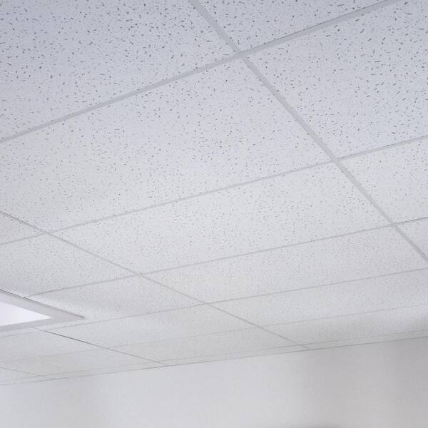 USG Ceilings 2x4 Ft. Basic White Square Edge Acoustic Lay-In Ceiling Tiles (Case Of 8)