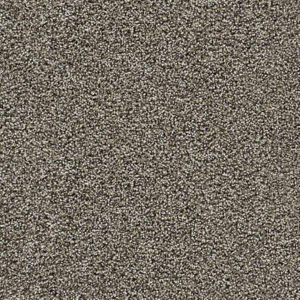 8 in. x 8 in. Texture Carpet Sample-Friendship Fables-Color Wisdom price history on PriceWatchPro