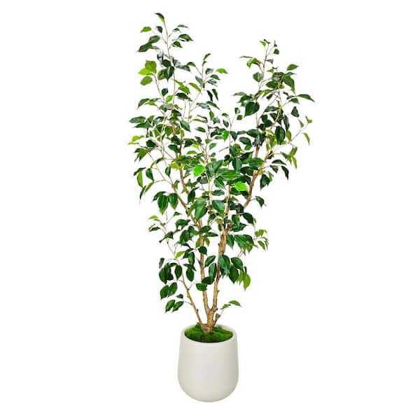 5 ft. Artificial Ficus Tree in White Decor Pot, Faux Green Plant Indoor Home Decorative Planter