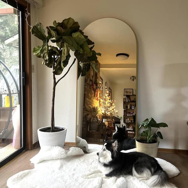 24 in. W x 71.1 in. H Modern Classic Arched Gold Wood Oversized Full Length Floor Mirror