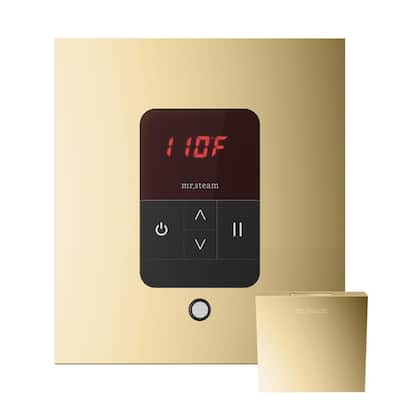 Basic Butler Steam Shower Control Package with Square iTempo Control and Linear Steamhead in Polished Brass