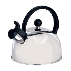 Spring 10-Cup Silver Stainless Steel Whistling Kettle