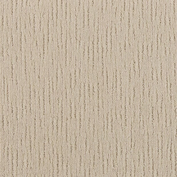 Home Decorators Collection Smooth Summer Coastal Breeze Beige 37 oz Polyester Pattern Installed Carpet