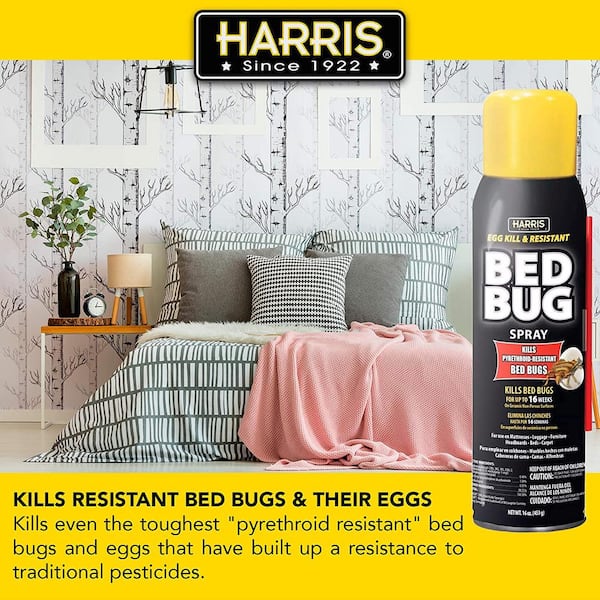 Harris Bed Bug Traps, 4 Pack - PF Harris