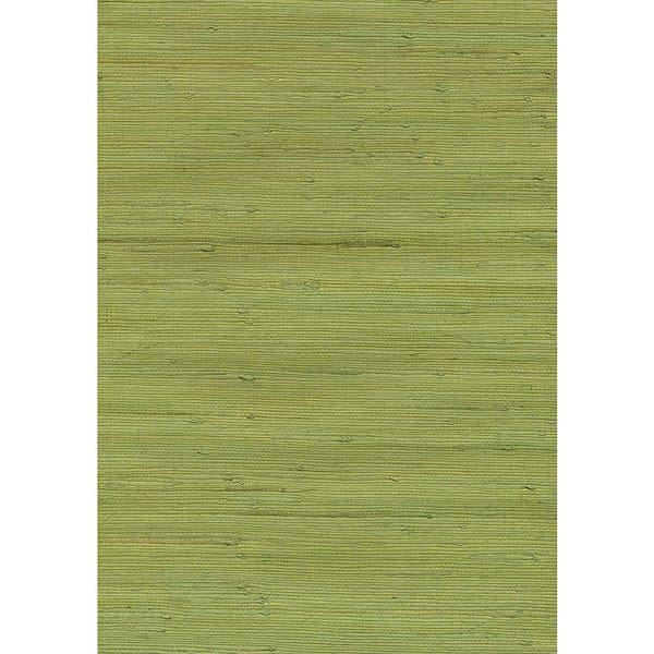 Green Grasscloth Wallpaper Grasscloth in Coastal Green by  Etsy Norway
